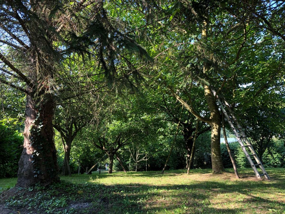 Aux Lettres Du Lavoir La Rivière-Saint-Sauveur Eksteriør bilde